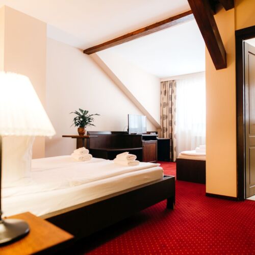 Camera dubla standard (se poate solicita pat suplimentar)