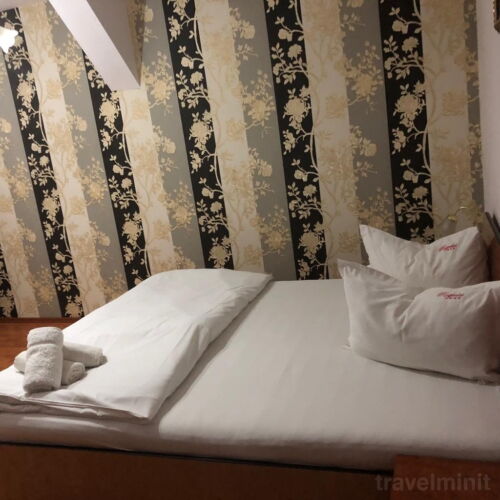 Camera dubla cu baie cu vedere spre grădină