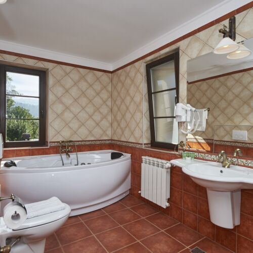 Camera twin executive family (se poate solicita pat suplimentar)