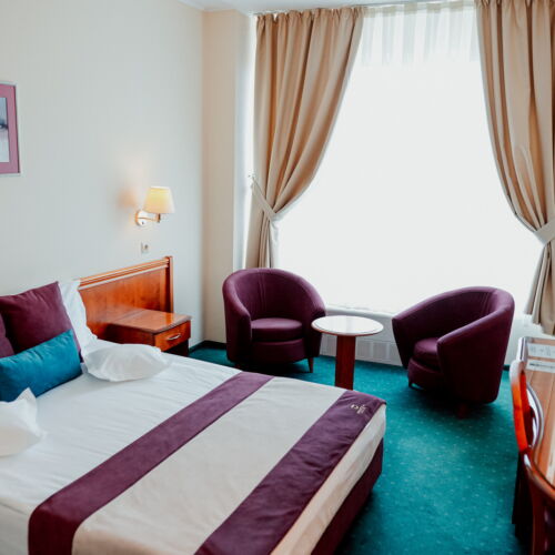 Camera dubla business