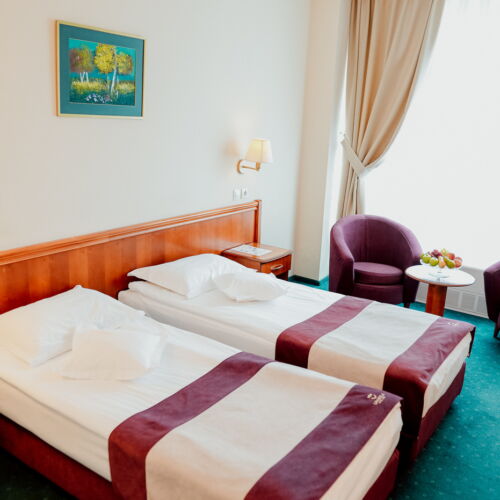 Camera twin business