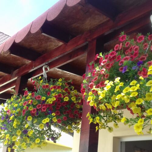 Apartament junior la parter cu 1 camera pentru 5 pers.