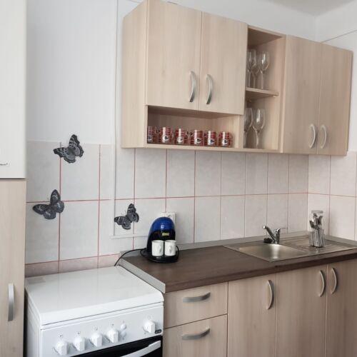 Apartament standard la parter cu 2 camere pentru 4 pers.