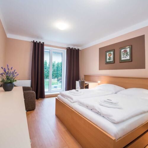 Apartament barrierfree cu 1 camera pentru 2 pers. (se poate solicita pat suplimentar)