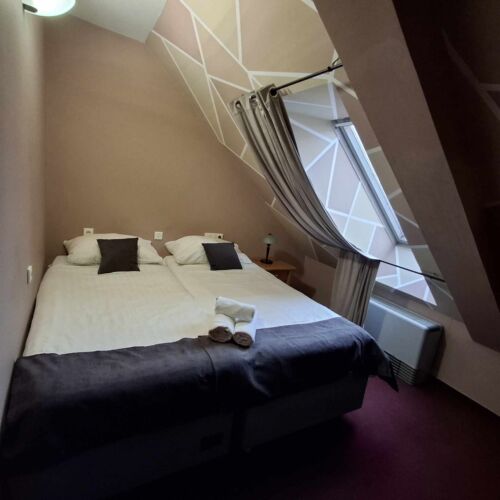 Economy Mansard Twin Room