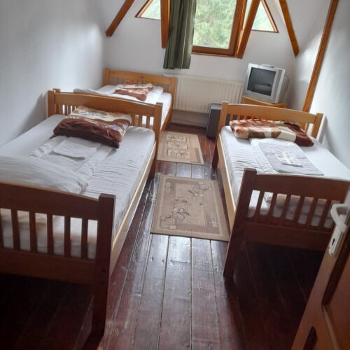 Mountain View Triple Room