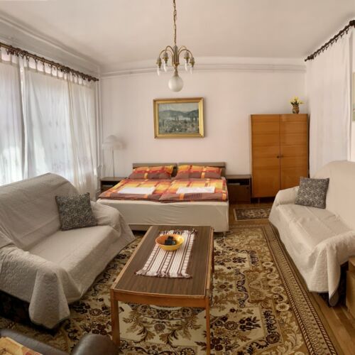 Apartament studio la parter cu 1 camera pentru 3 pers.