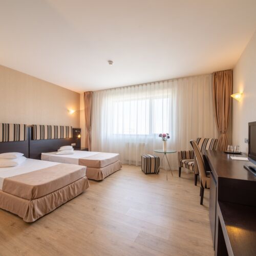 Camera twin deluxe (se poate solicita pat suplimentar)