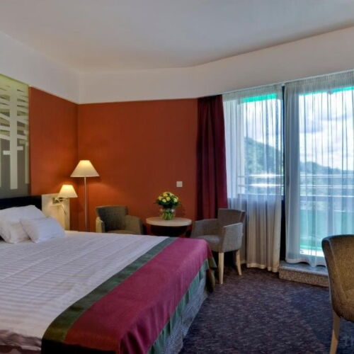 Camera twin deluxe cu vedere spre lac