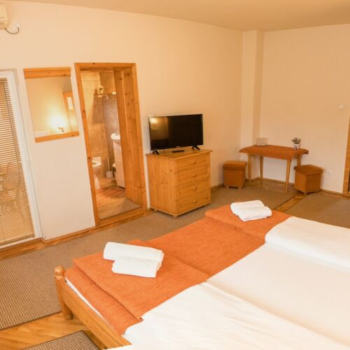 Camera dubla confort (se poate solicita pat suplimentar)