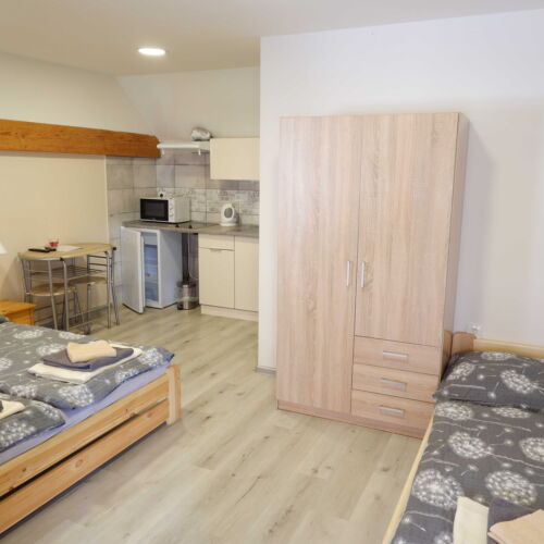 Pokoj se sprchou s vlastní kuchyňkou pro 3 os.