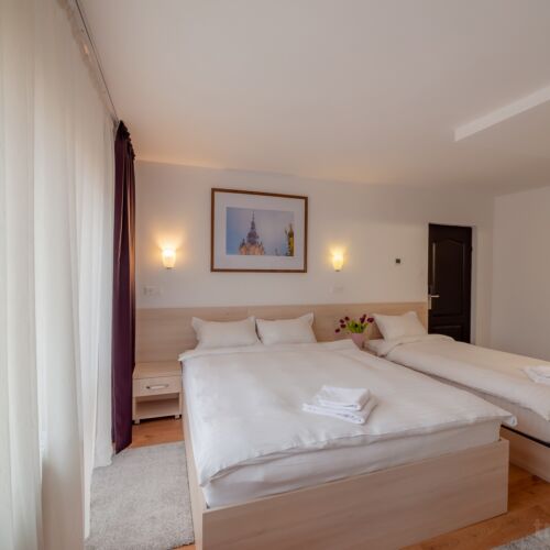 Camera tripla family