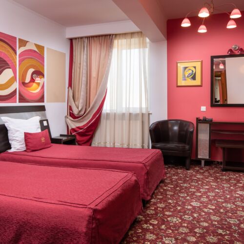 Camera dubla standard