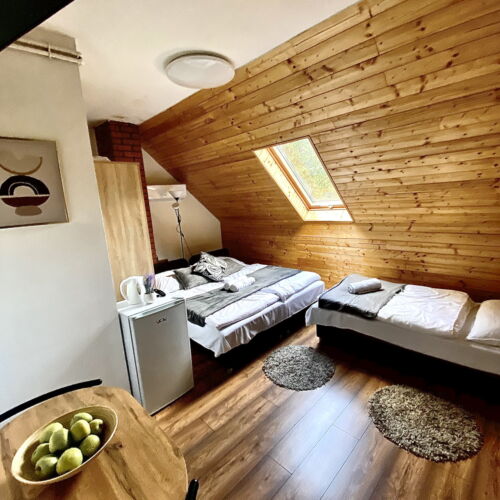 Camera twin superior cu aer condiționat