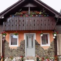 Apartament lux cu 1 camera pentru 4 pers.