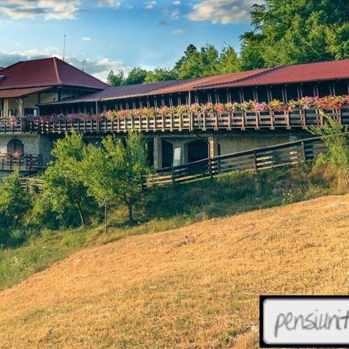 Camera tripla cu terasă (se poate solicita pat suplimentar)