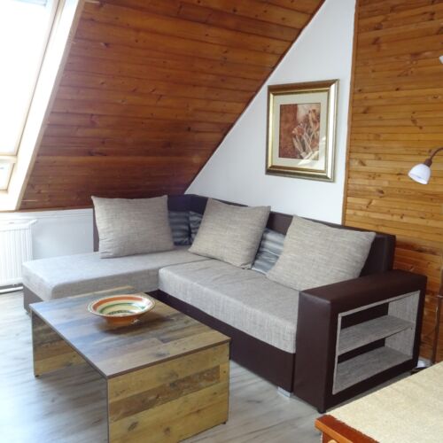 Panorama Appartement im Dachgeschoss