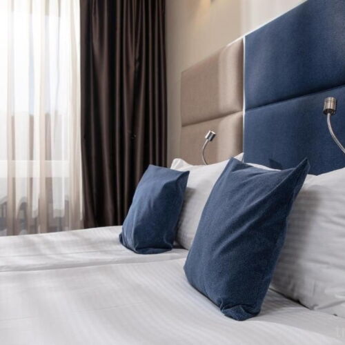 Camera dubla standard