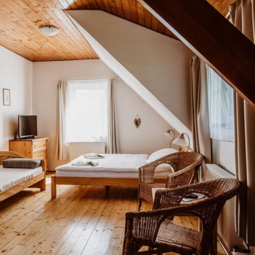 Triple Room with Shower and Shared Kitchenette