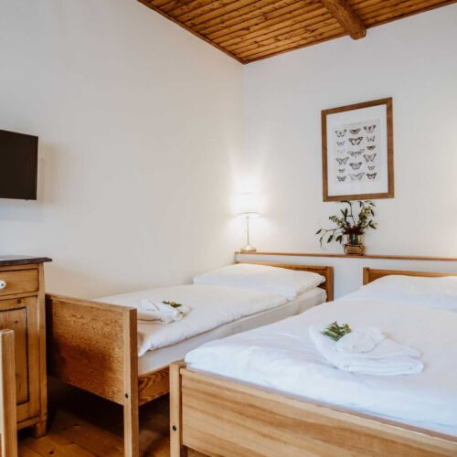 Triple Room with Shower and Shared Kitchenette