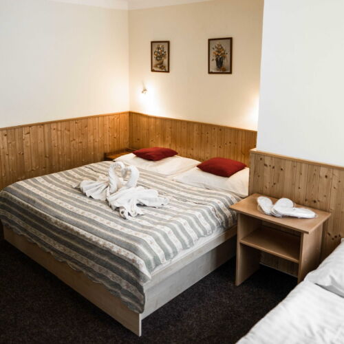 Standard Pokoj se sprchou pro 3 os.