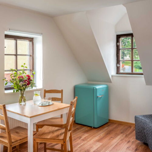 Camera dubla cu duș (se poate solicita pat suplimentar)