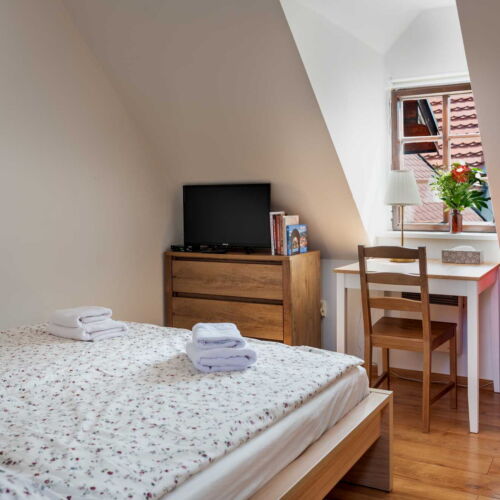 Camera dubla cu duș