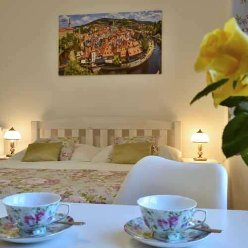 Apartman se sprchou s vlastní kuchyňkou pro 4 os.