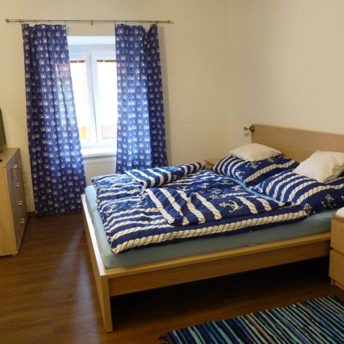 Pokoj s koupelnou se sprchou s manželskou postelí