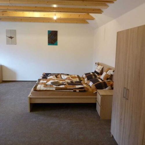 Pokoj s koupelnou se sprchou s manželskou postelí