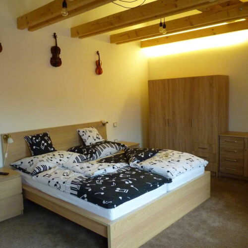 Pokoj s koupelnou se sprchou s manželskou postelí