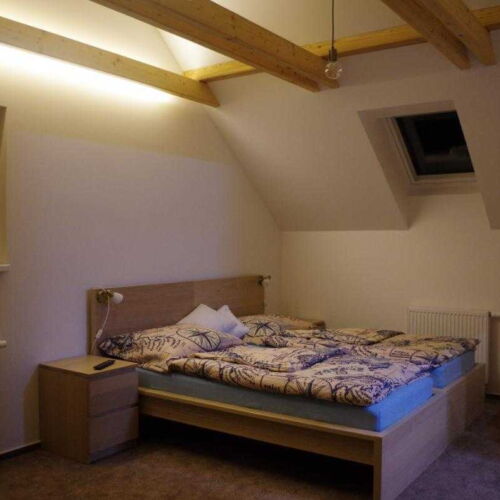 Pokoj s koupelnou se sprchou s manželskou postelí