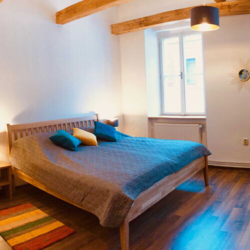 Camera twin cu duș (se poate solicita pat suplimentar)