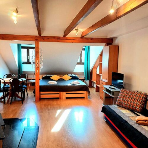 Apartament cu duș cu chicinetă proprie pentru 3 pers. (se poate solicita pat suplimentar)