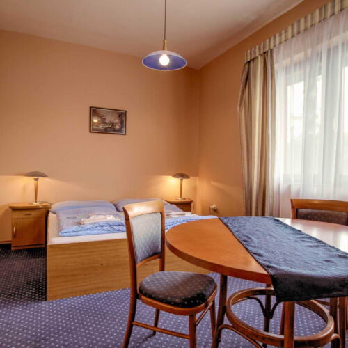 Pokoj se sprchou  pro 3 os. (s možností přistýlky)