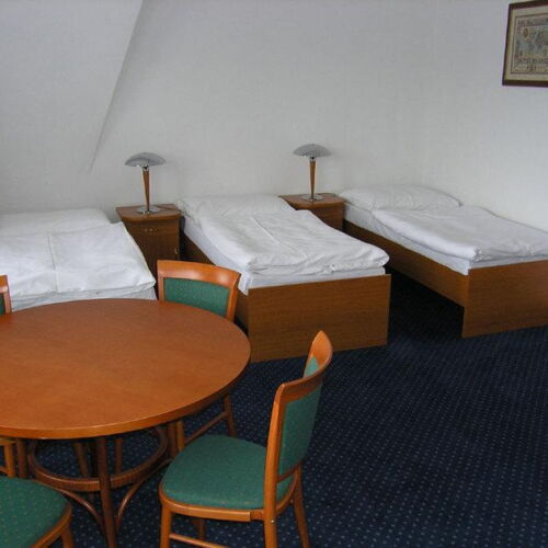 Pokoj se sprchou s balkónem pro 3 os. (s možností přistýlky)