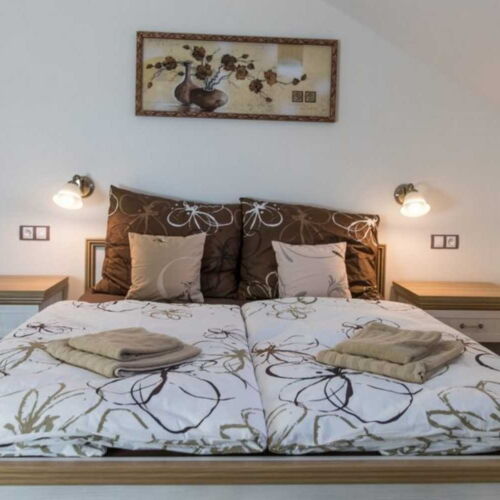 Camera tripla cu aer condiționat cu duș