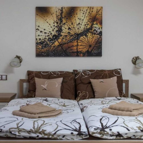 Apartament cu duș cu chicinetă proprie cu 2 camere pentru 4 pers.