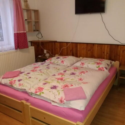 2-Room Apartment for 5 Persons with Shower and Kitchenette