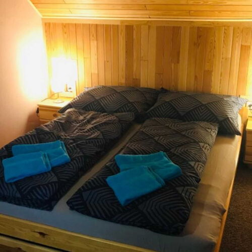 Camera twin cu baie cu duș (se poate solicita pat suplimentar)