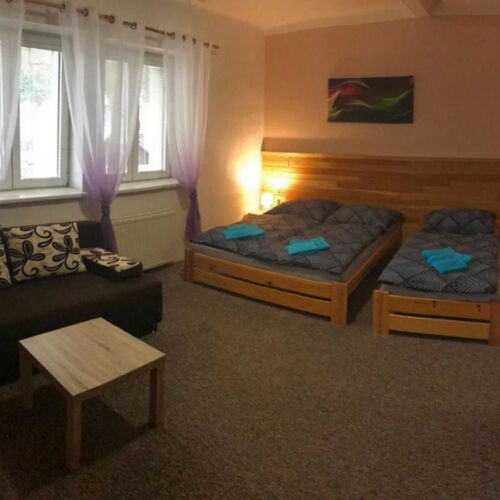 Camera tripla cu duș