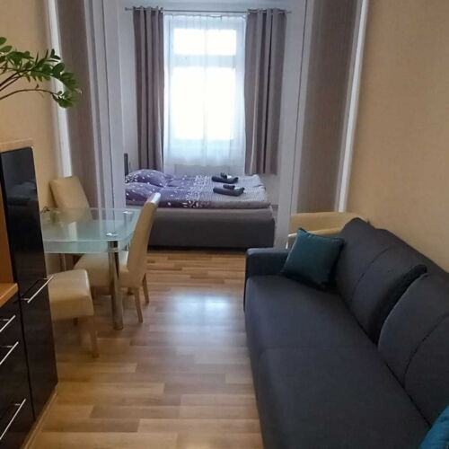 Studio Apartman se sprchou pro 3 os.