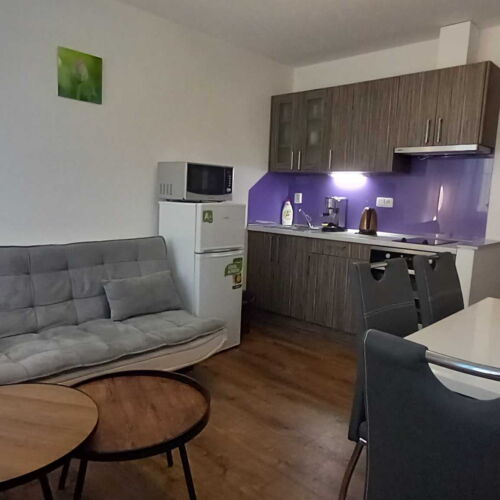 Apartman se sprchou s vlastní kuchyňkou pro 4 os. (s možností přistýlky)