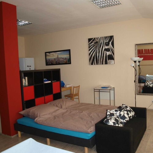 2-Room Apartment for 6 Persons with Shower and Kitchenette (extra beds available)