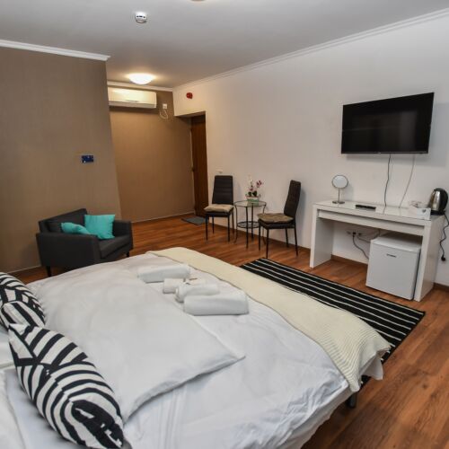 Air Conditioned Barrier Free Twin Room