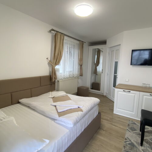 Camera dubla economy cu vedere spre grădină