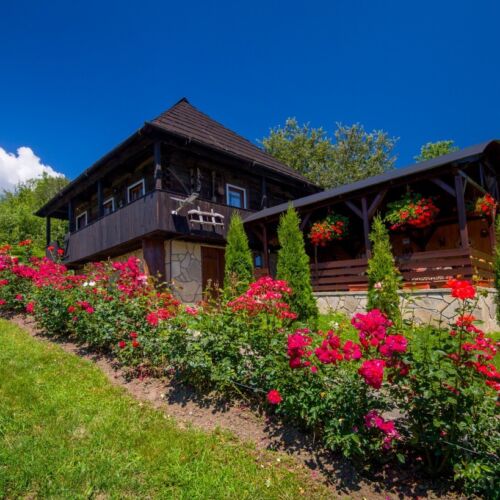 Casa rustică cu terasă cu panoramă pentru 4 pers. (se inchirieaza doar integral)