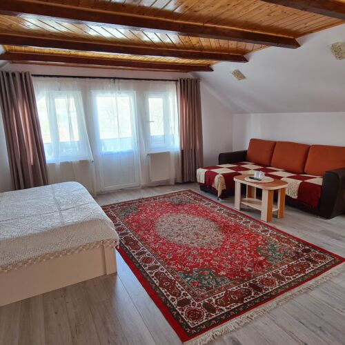 Camera dubla family cu baie (se poate solicita pat suplimentar)