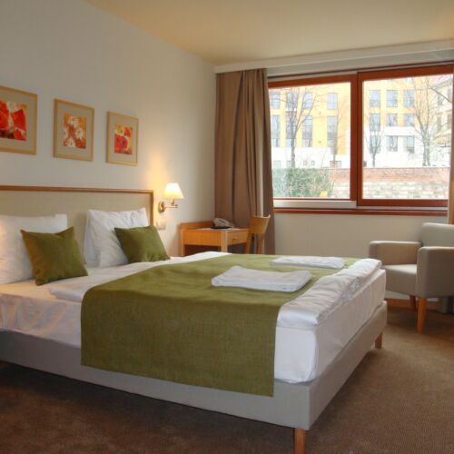 Camera dubla standard cu cadă (se poate solicita pat suplimentar)