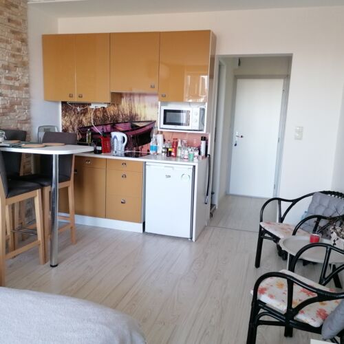 Panoramic Pleasant Interior Design 1-Room Apartment for 2 Persons